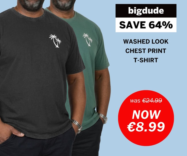 Bigdude weekly deal - washed look t-shirt with palm chest print now €8.99